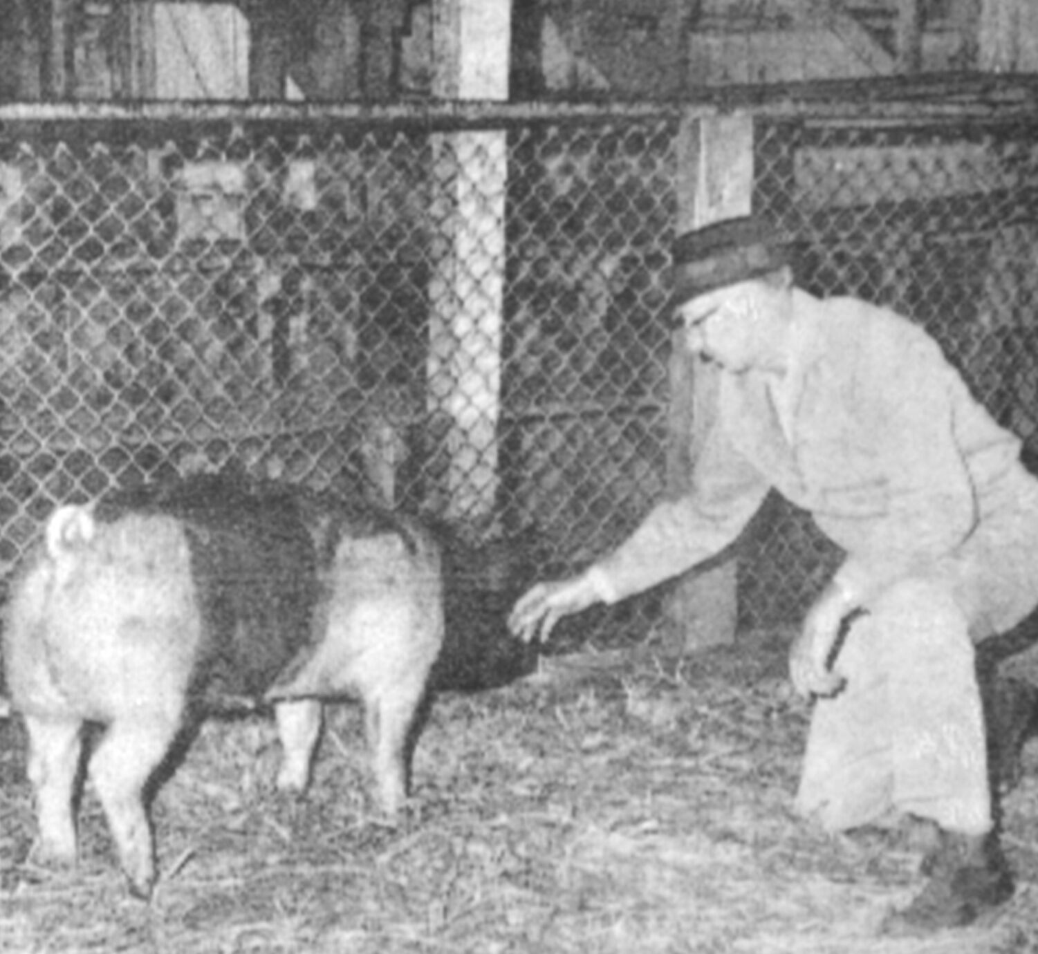 March 31, 1971